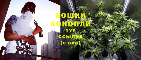 ГАЛЛЮЦИНОГЕННЫЕ ГРИБЫ Чердынь