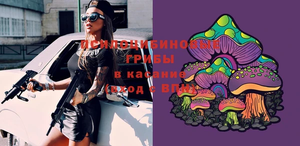 МДПВ Фурманов