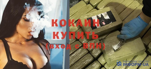 прущие грибы Усинск